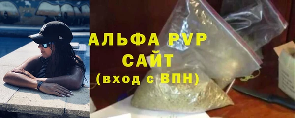 индика Дегтярск