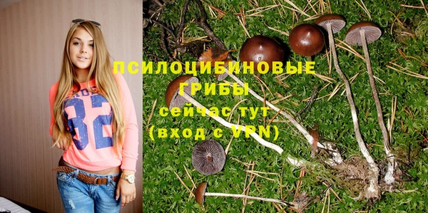 тгк Богородицк