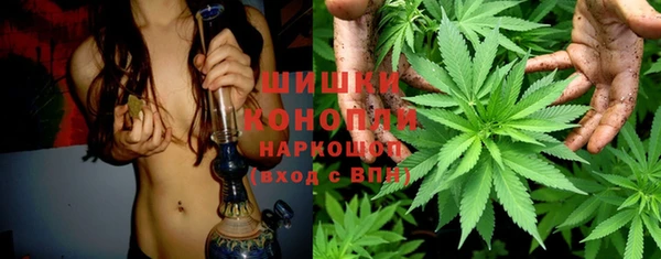 PSILOCYBIN Данков