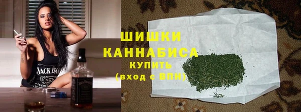 МДПВ Богородск