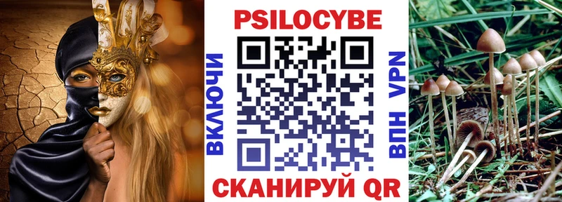 магазин продажи наркотиков  Вуктыл  Псилоцибиновые грибы Cubensis 